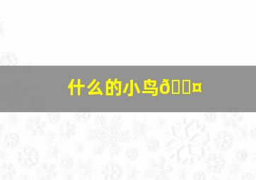 什么的小鸟🐤