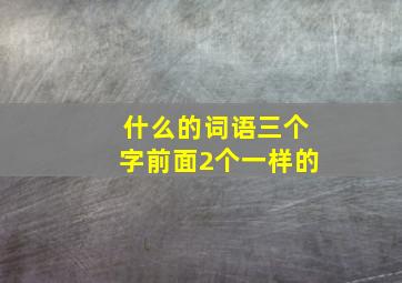 什么的词语三个字前面2个一样的