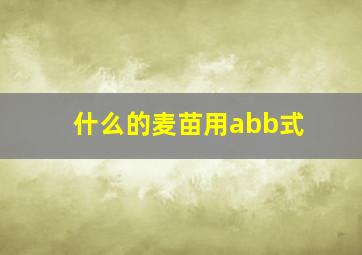 什么的麦苗用abb式