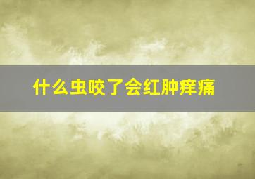 什么虫咬了会红肿痒痛