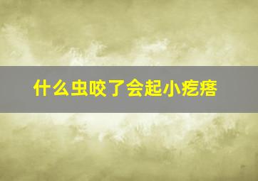 什么虫咬了会起小疙瘩