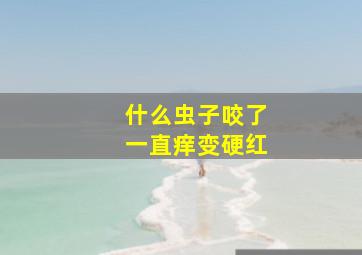 什么虫子咬了一直痒变硬红