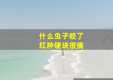 什么虫子咬了红肿硬块很痛