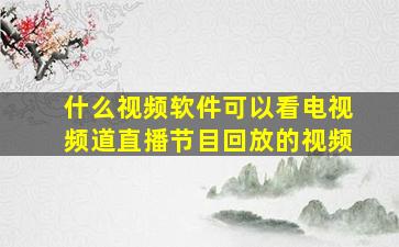 什么视频软件可以看电视频道直播节目回放的视频