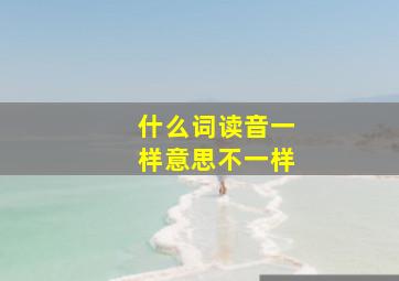 什么词读音一样意思不一样