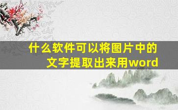 什么软件可以将图片中的文字提取出来用word