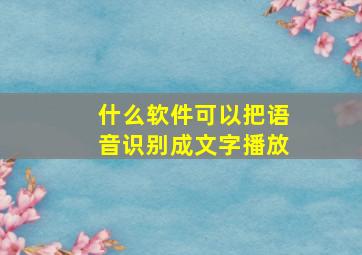 什么软件可以把语音识别成文字播放