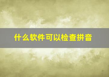 什么软件可以检查拼音