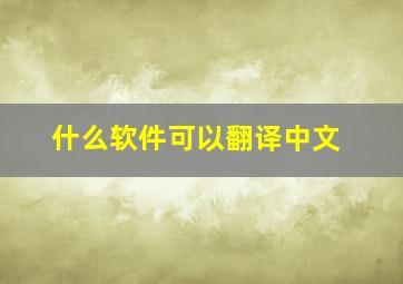 什么软件可以翻译中文