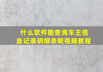 什么软件能查询车主信息记录明细表呢视频教程