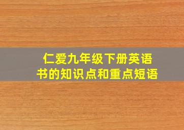 仁爱九年级下册英语书的知识点和重点短语