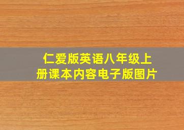 仁爱版英语八年级上册课本内容电子版图片