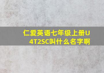 仁爱英语七年级上册U4T2SC叫什么名字啊