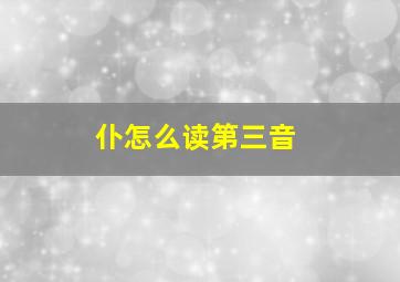 仆怎么读第三音