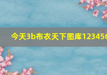 今天3b布衣天下图库123456