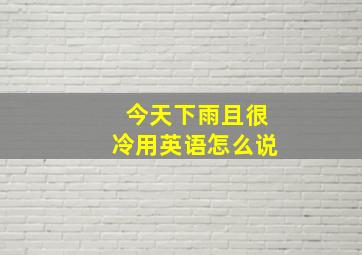 今天下雨且很冷用英语怎么说