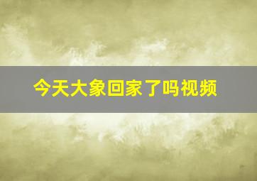 今天大象回家了吗视频