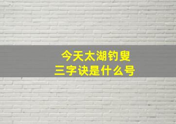 今天太湖钓叟三字诀是什么号