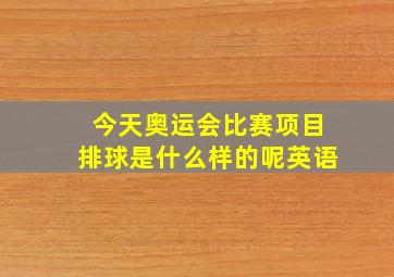 今天奥运会比赛项目排球是什么样的呢英语