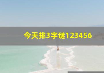 今天排3字谜123456