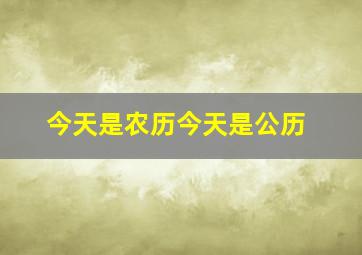 今天是农历今天是公历