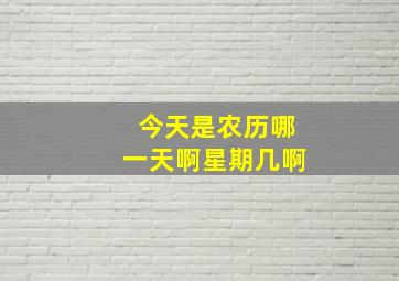 今天是农历哪一天啊星期几啊