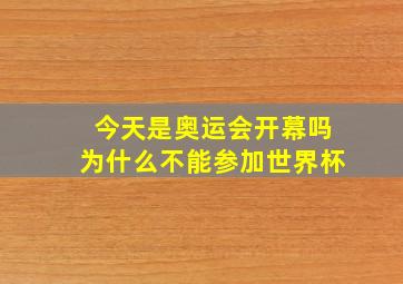 今天是奥运会开幕吗为什么不能参加世界杯