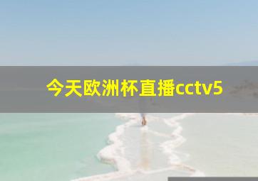 今天欧洲杯直播cctv5