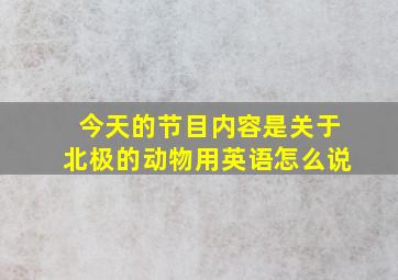 今天的节目内容是关于北极的动物用英语怎么说