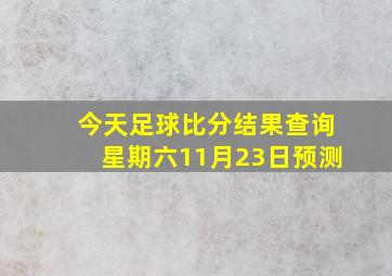 今天足球比分结果查询星期六11月23日预测