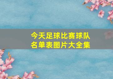 今天足球比赛球队名单表图片大全集