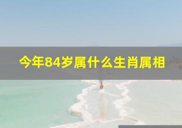 今年84岁属什么生肖属相