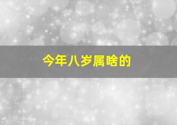 今年八岁属啥的