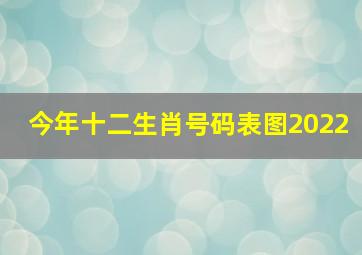 今年十二生肖号码表图2022