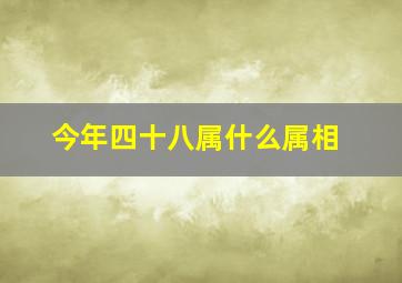 今年四十八属什么属相