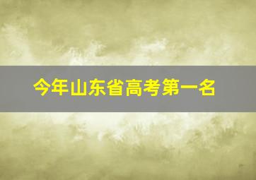 今年山东省高考第一名