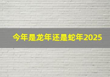 今年是龙年还是蛇年2025