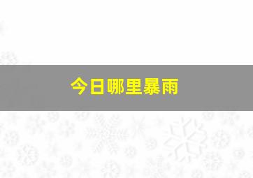 今日哪里暴雨