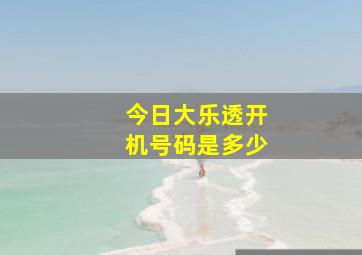 今日大乐透开机号码是多少