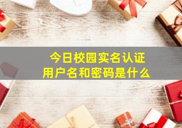 今日校园实名认证用户名和密码是什么