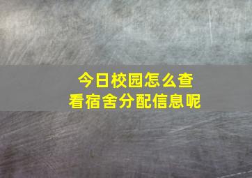 今日校园怎么查看宿舍分配信息呢