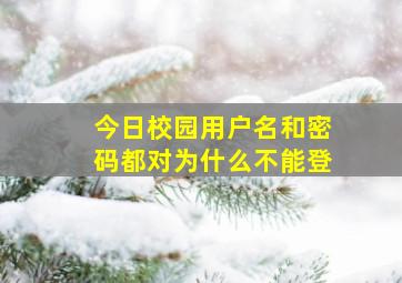 今日校园用户名和密码都对为什么不能登