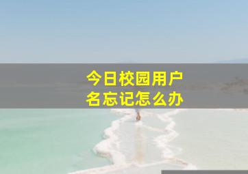 今日校园用户名忘记怎么办