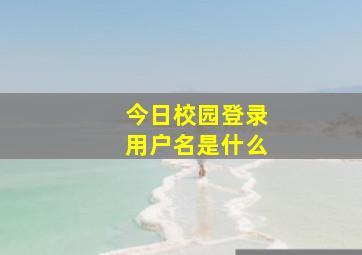 今日校园登录用户名是什么