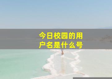 今日校园的用户名是什么号