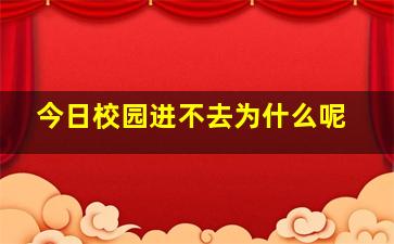 今日校园进不去为什么呢