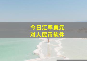 今日汇率美元对人民币软件