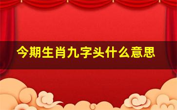 今期生肖九字头什么意思