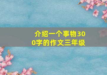 介绍一个事物300字的作文三年级