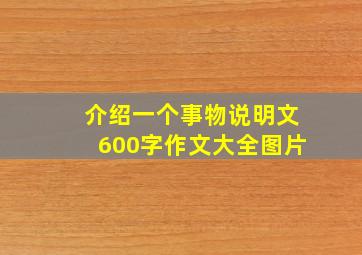 介绍一个事物说明文600字作文大全图片